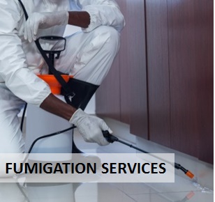 Fumigation Services Company in Karachi Pakistan